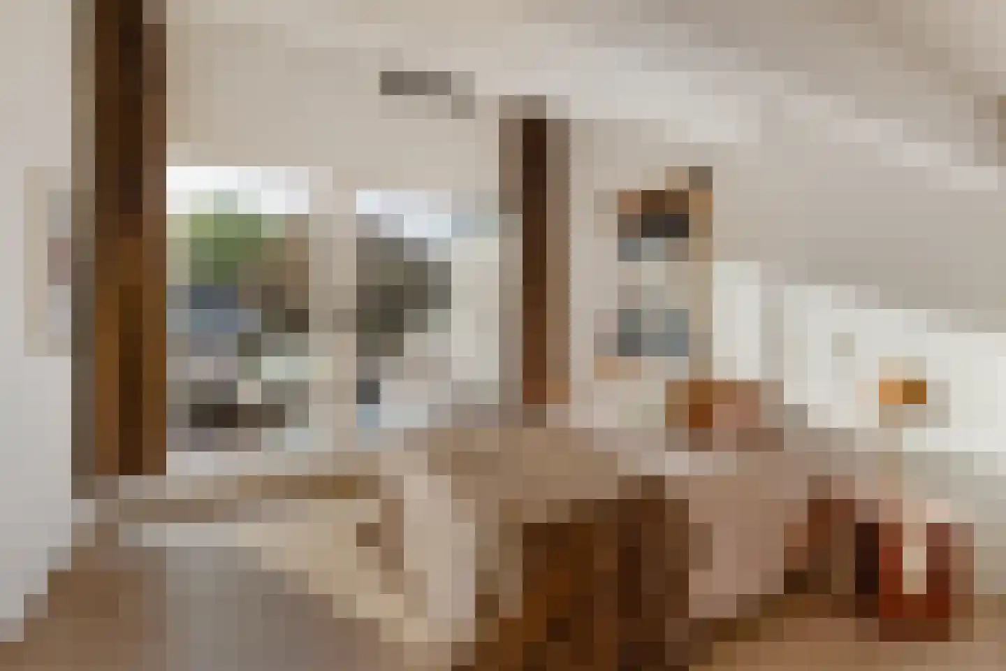 Emilie Knappertstraat 34 Haarlem thumbnail 21