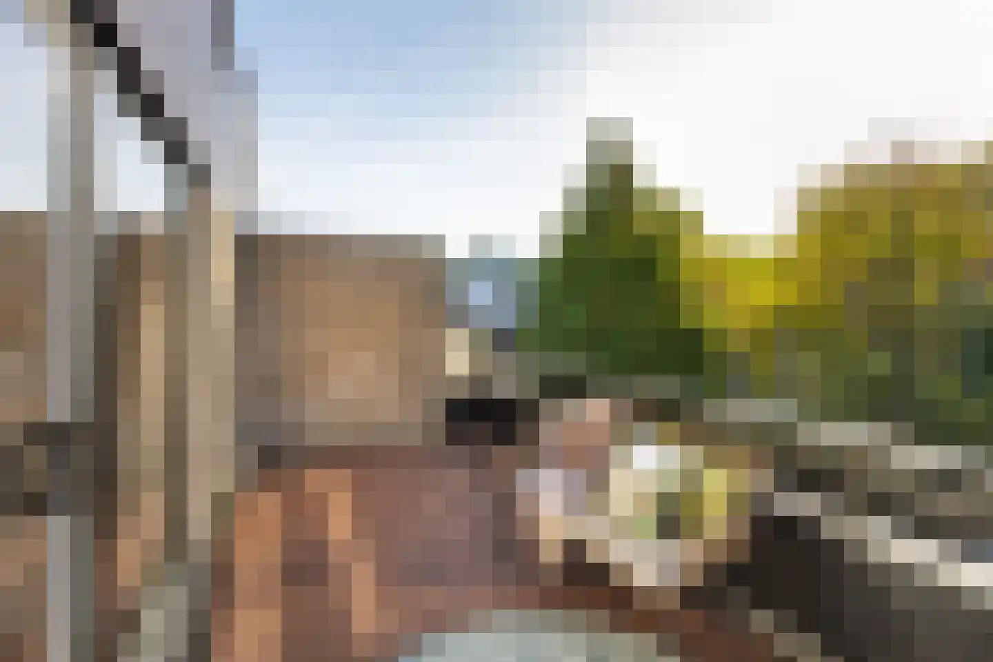 Emilie Knappertstraat 34 Haarlem thumbnail 23