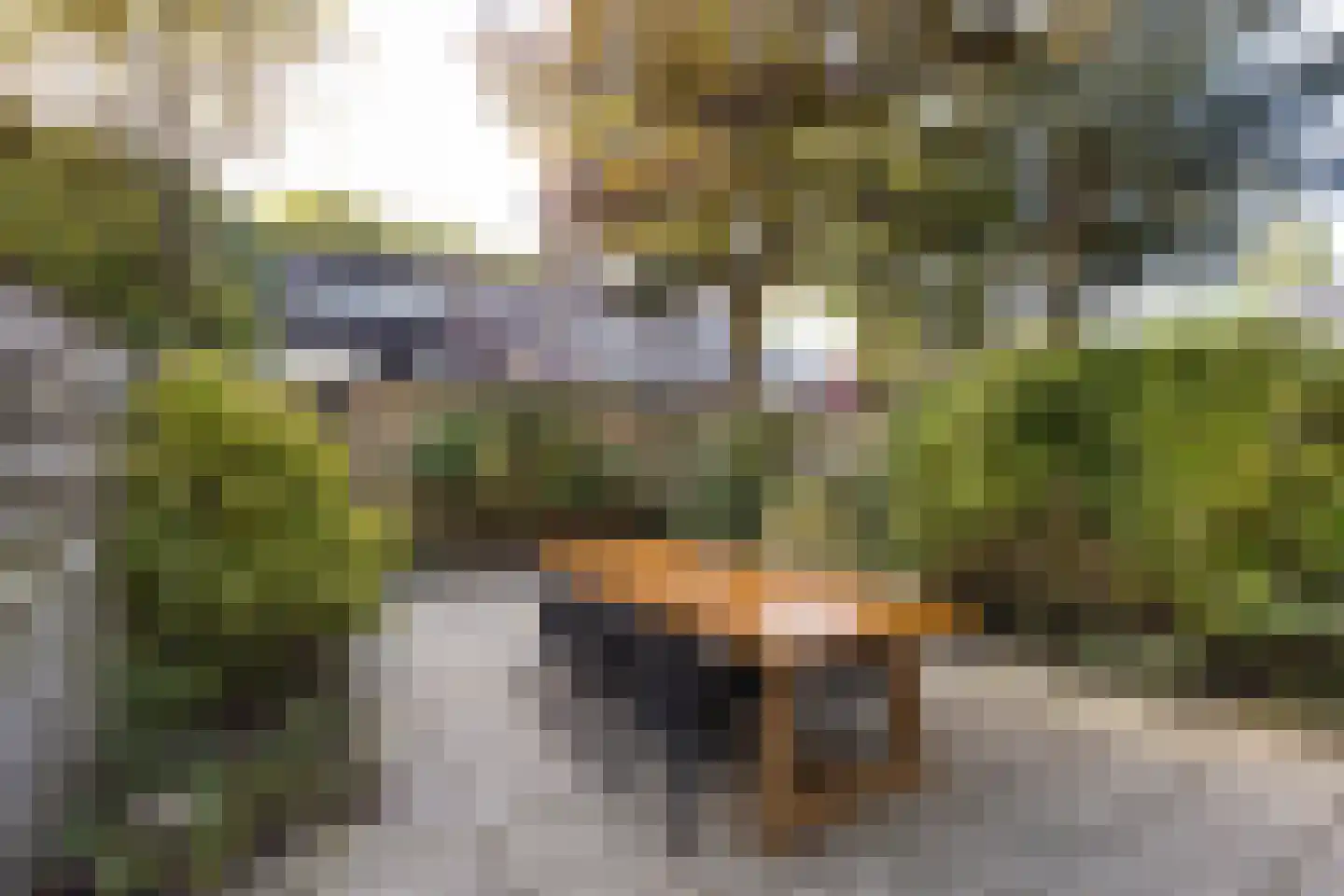 Emilie Knappertstraat 34 Haarlem thumbnail 26