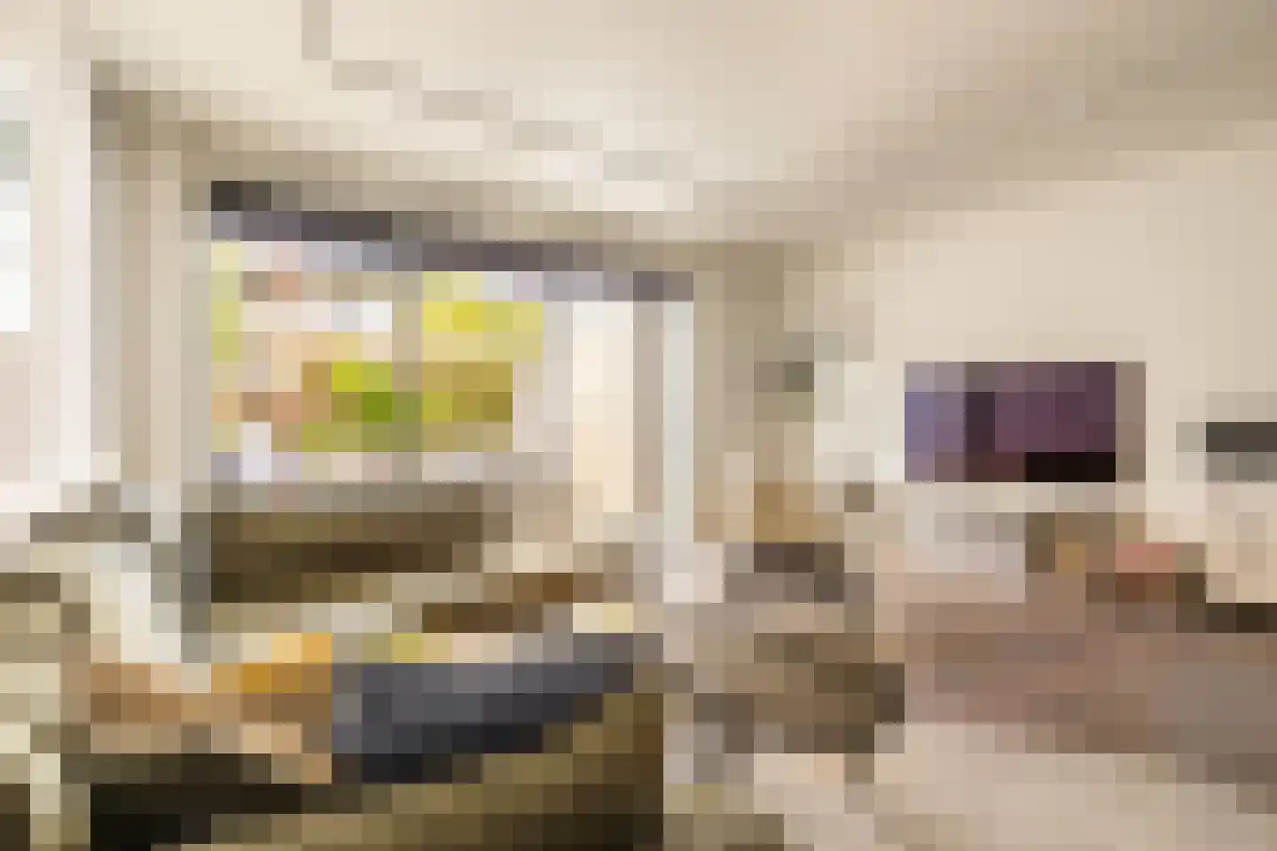 Emilie Knappertstraat 4 Amsterdam thumbnail 11