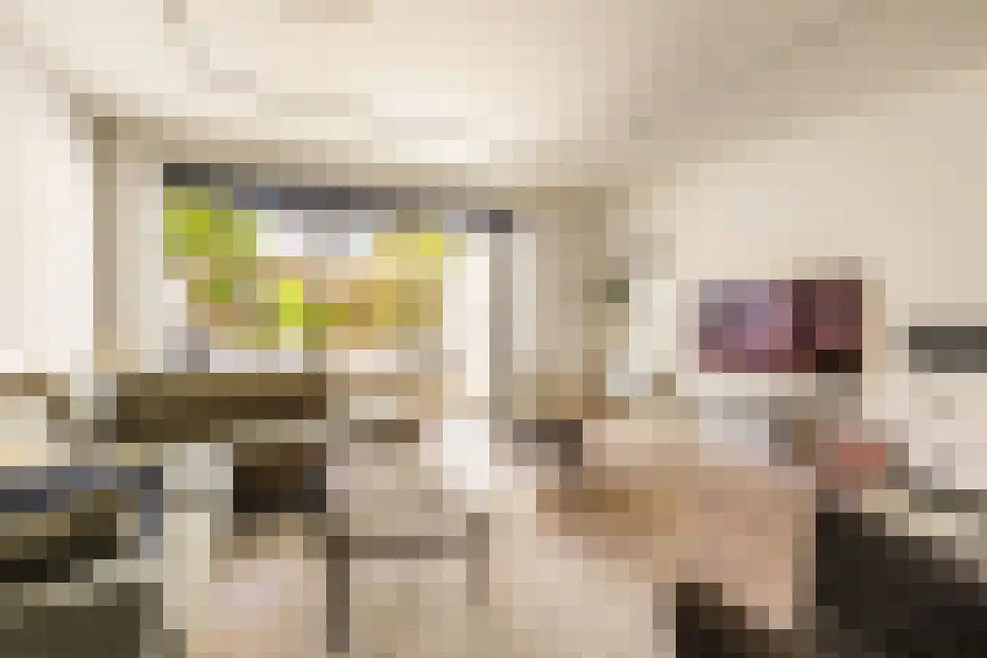 Emilie Knappertstraat 4 Amsterdam thumbnail 13