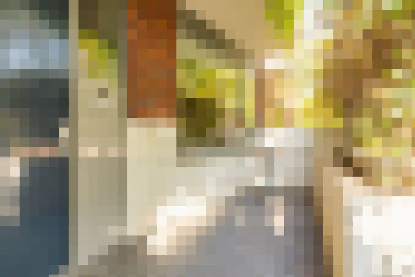 Emilie Knappertstraat 4 Amsterdam thumbnail 32