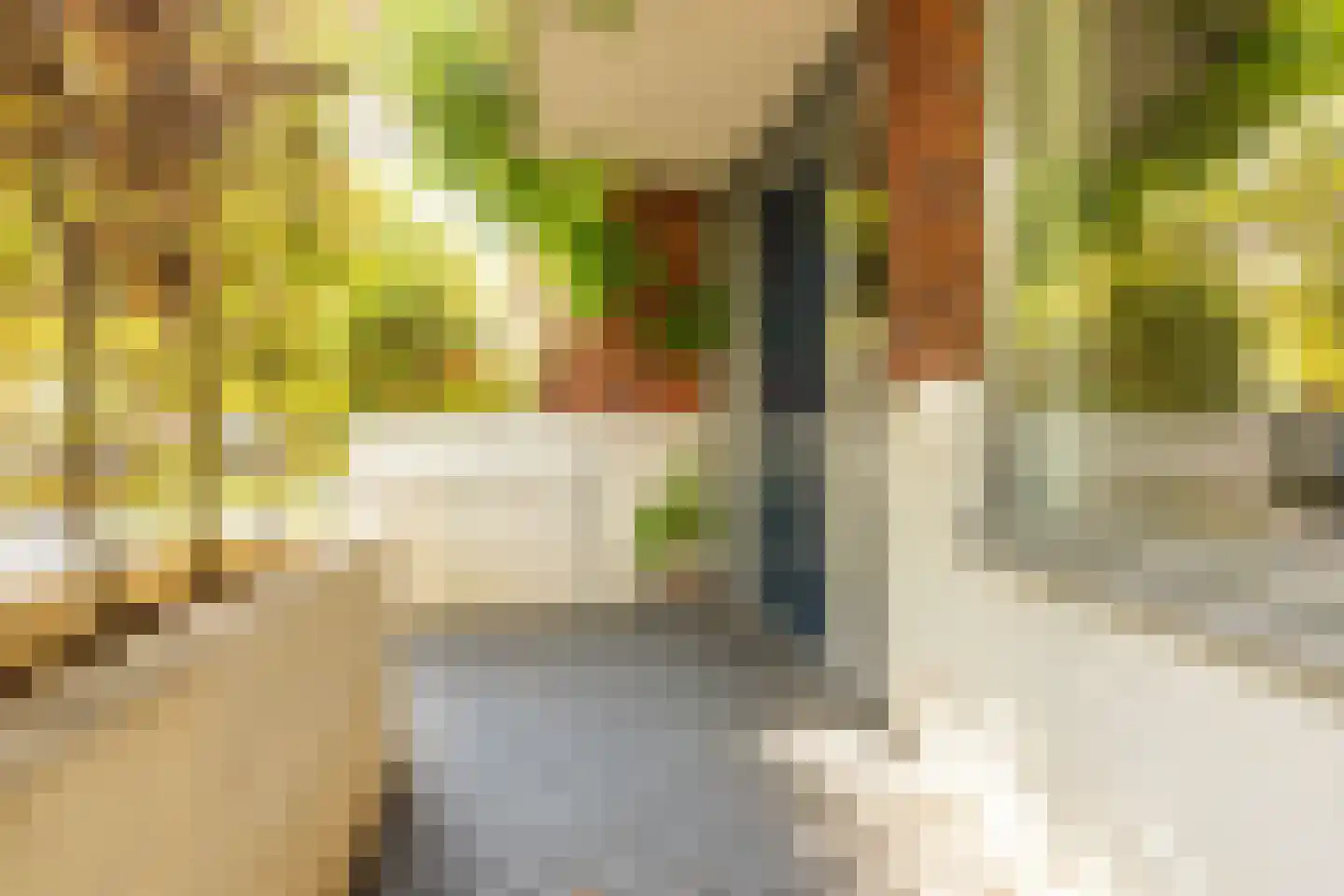 Emilie Knappertstraat 4 Amsterdam thumbnail 5