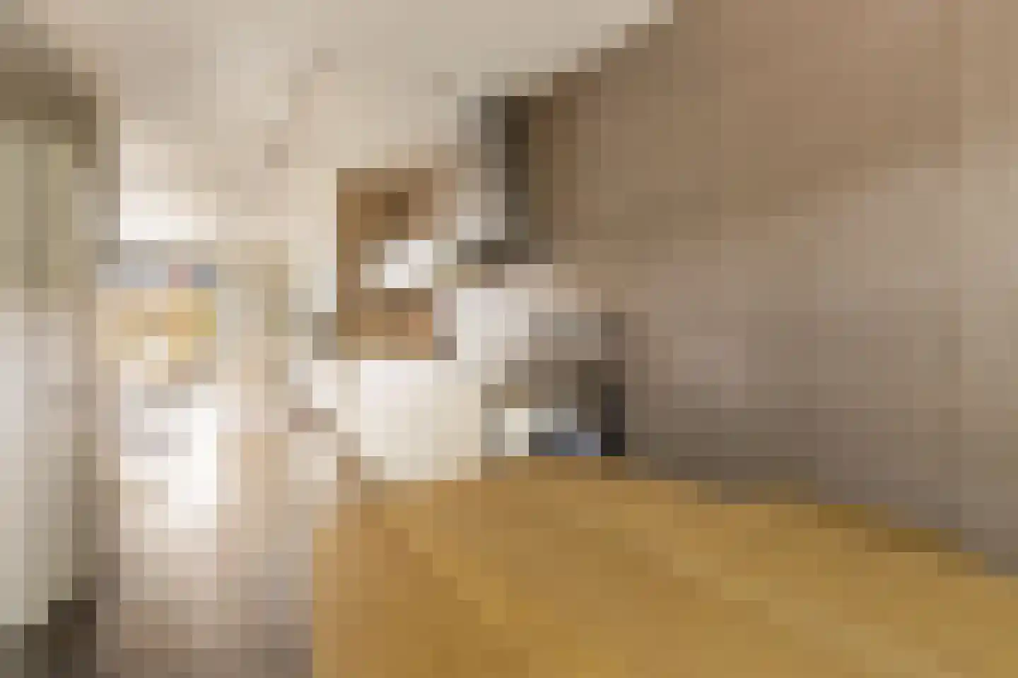 Emilie Knappertstraat 4 Amsterdam thumbnail 7