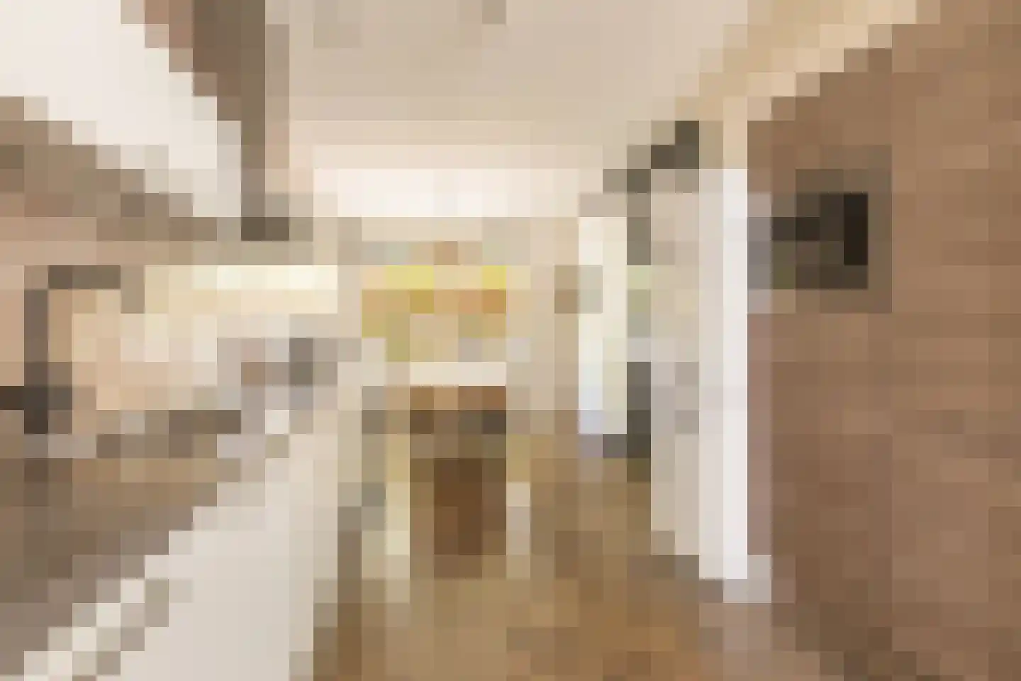 Emilie Knappertstraat 4 Amsterdam thumbnail 9