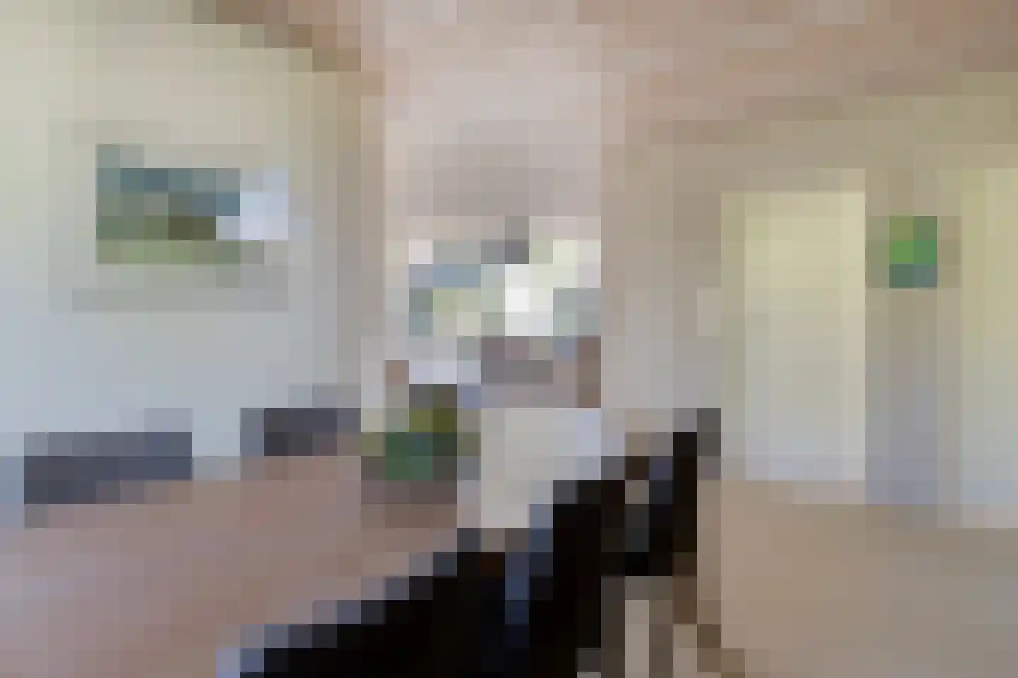 Emilie Wertheimlaan 1 Eindhoven thumbnail 15