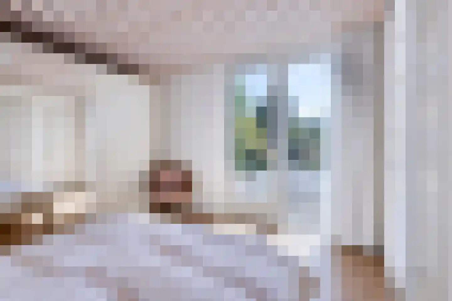 Emilie Wertheimlaan 1 Eindhoven thumbnail 21