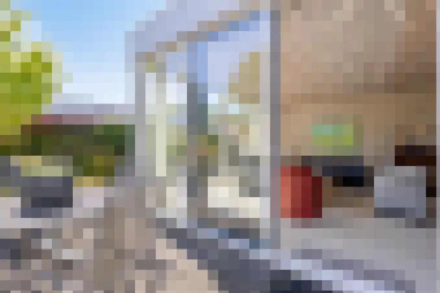 Emilie Wertheimlaan 1 Eindhoven thumbnail 31