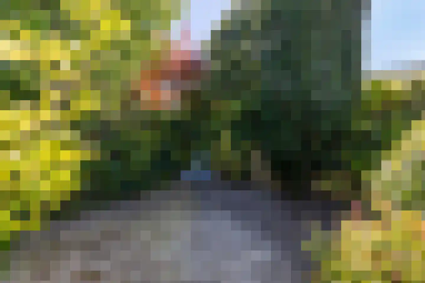 Emilie Wertheimlaan 1 Eindhoven thumbnail 33