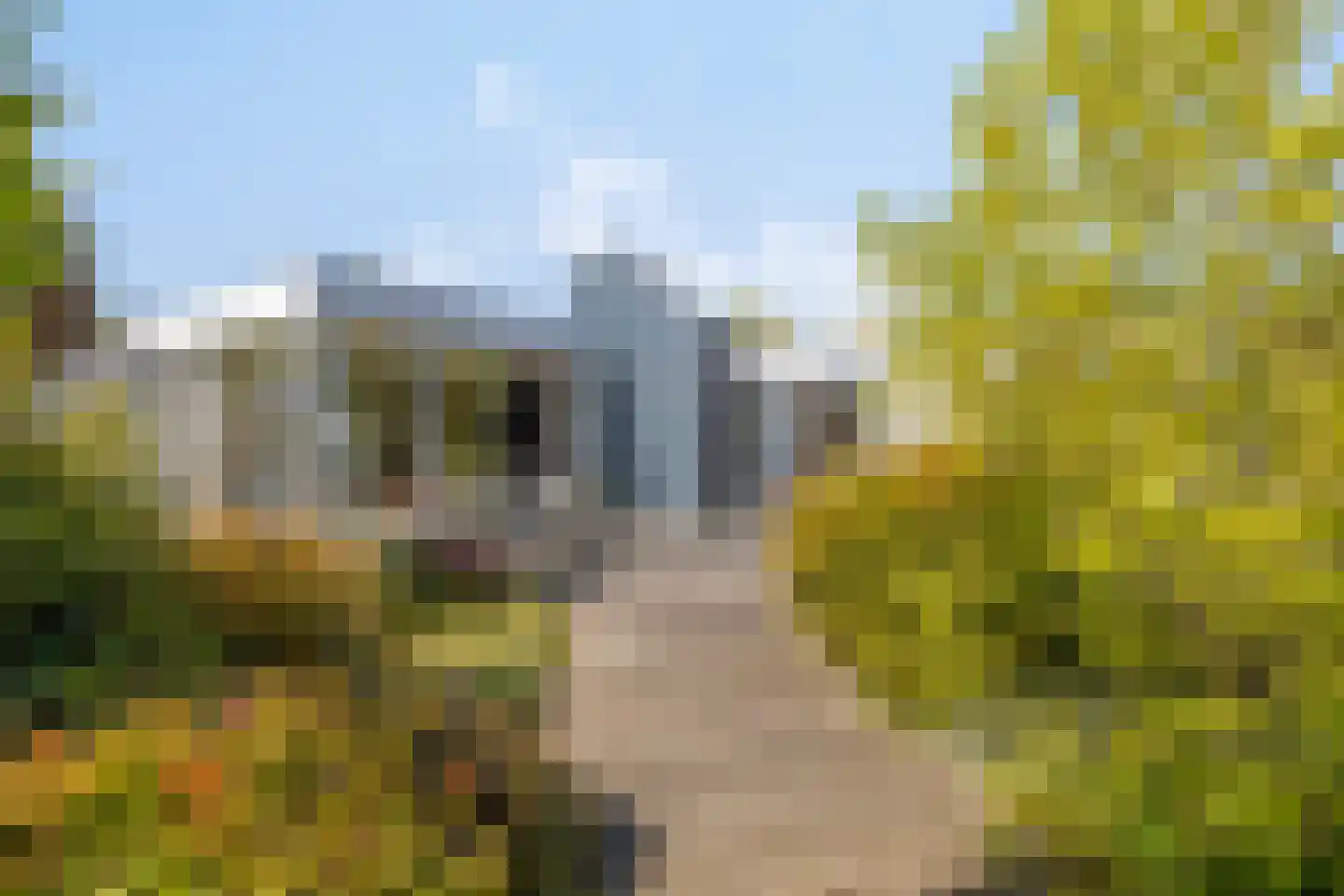Emilie Wertheimlaan 1 Eindhoven thumbnail 34
