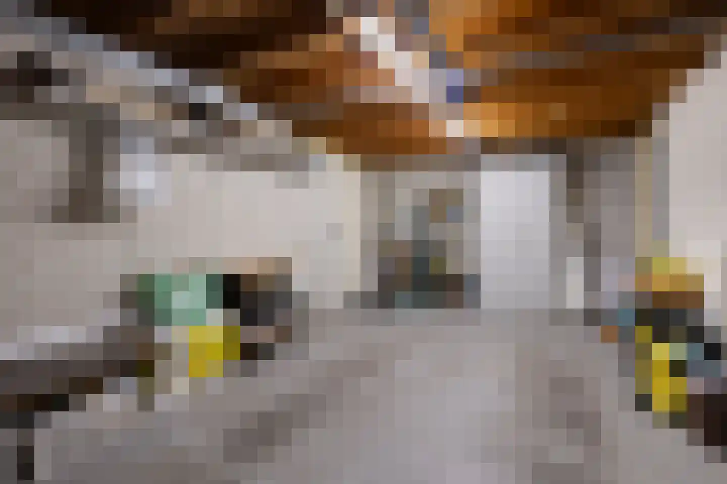 Emilie Wertheimlaan 1 Eindhoven thumbnail 40