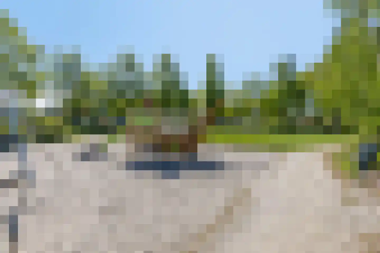 Emilie Wertheimlaan 1 Eindhoven thumbnail 41