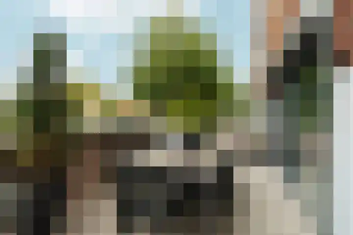 Emily Brontësingel 115 Arnhem thumbnail 19