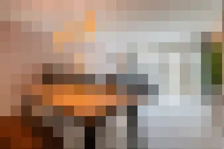 Emily Brontësingel 118 Arnhem thumbnail 5