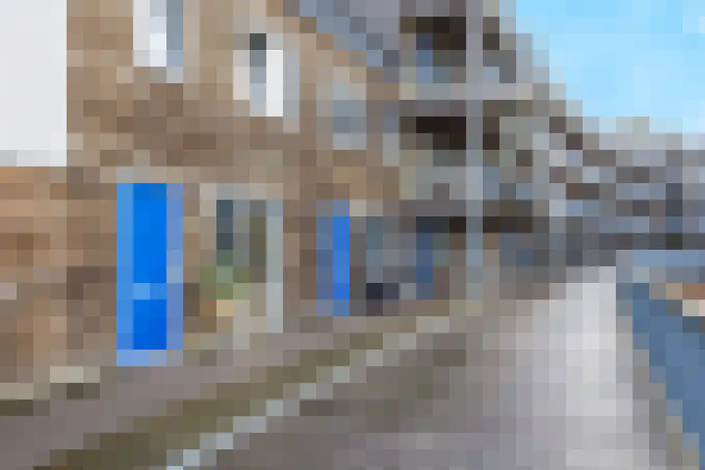 Emily Brontësingel 125 Arnhem thumbnail 40