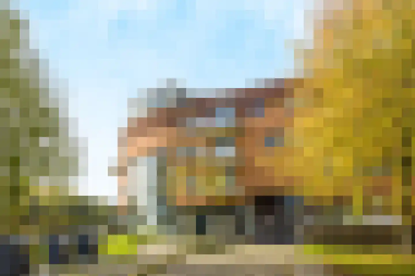 Emily Brontësingel 125 Arnhem thumbnail 46
