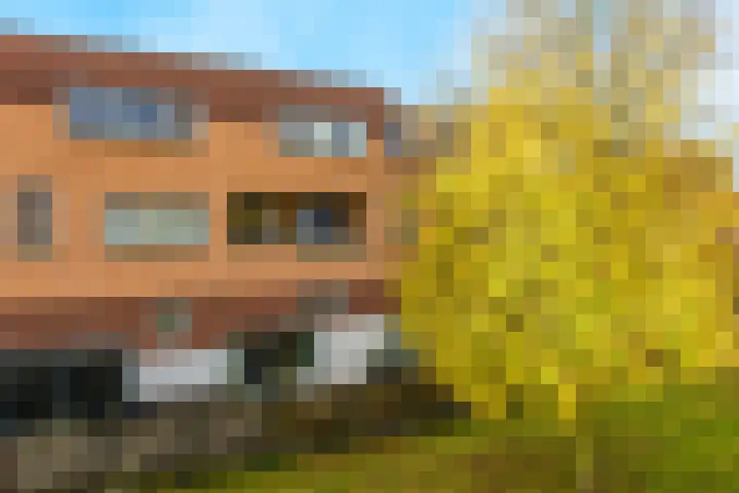 Emily Brontësingel 125 Arnhem thumbnail 5