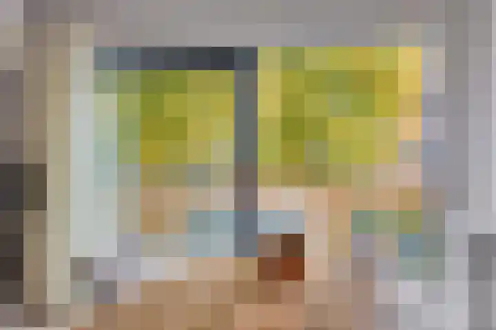 Emily Brontësingel 131 Arnhem thumbnail 6