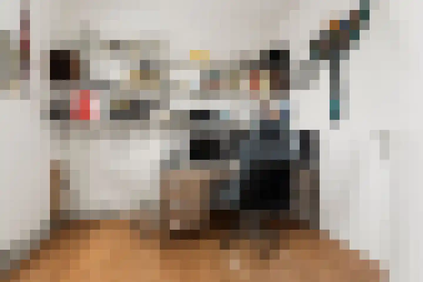 Emily Brontësingel 14 Arnhem thumbnail 26