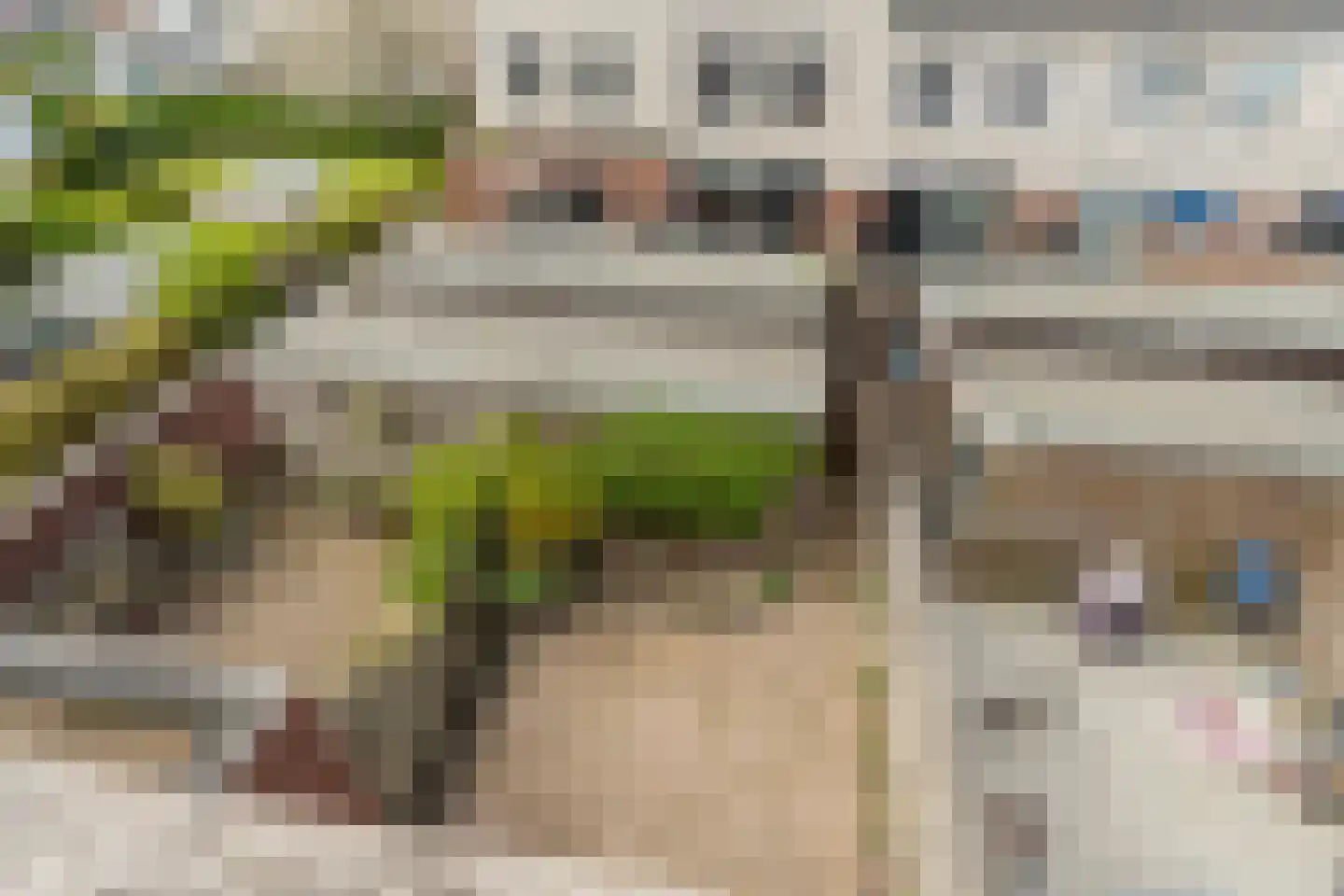 Emily Brontësingel 14 Arnhem thumbnail 32