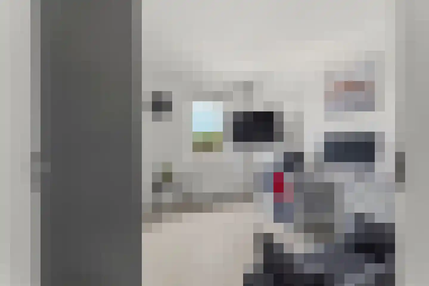 Emily Brontësingel 189 Arnhem thumbnail 22