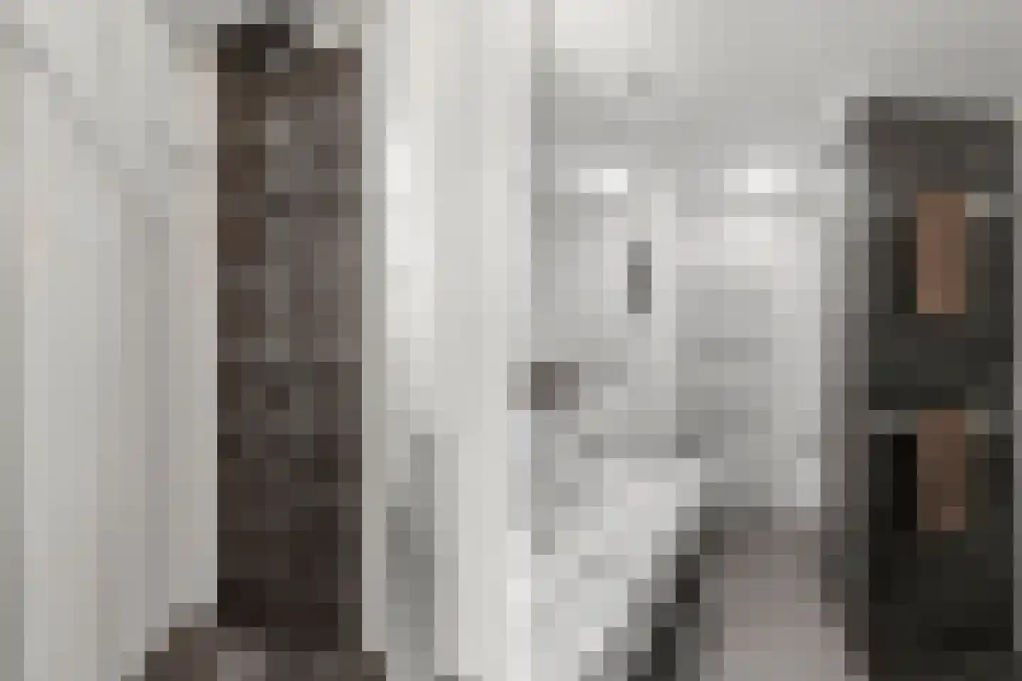 Emily Brontësingel 189 Arnhem thumbnail 27