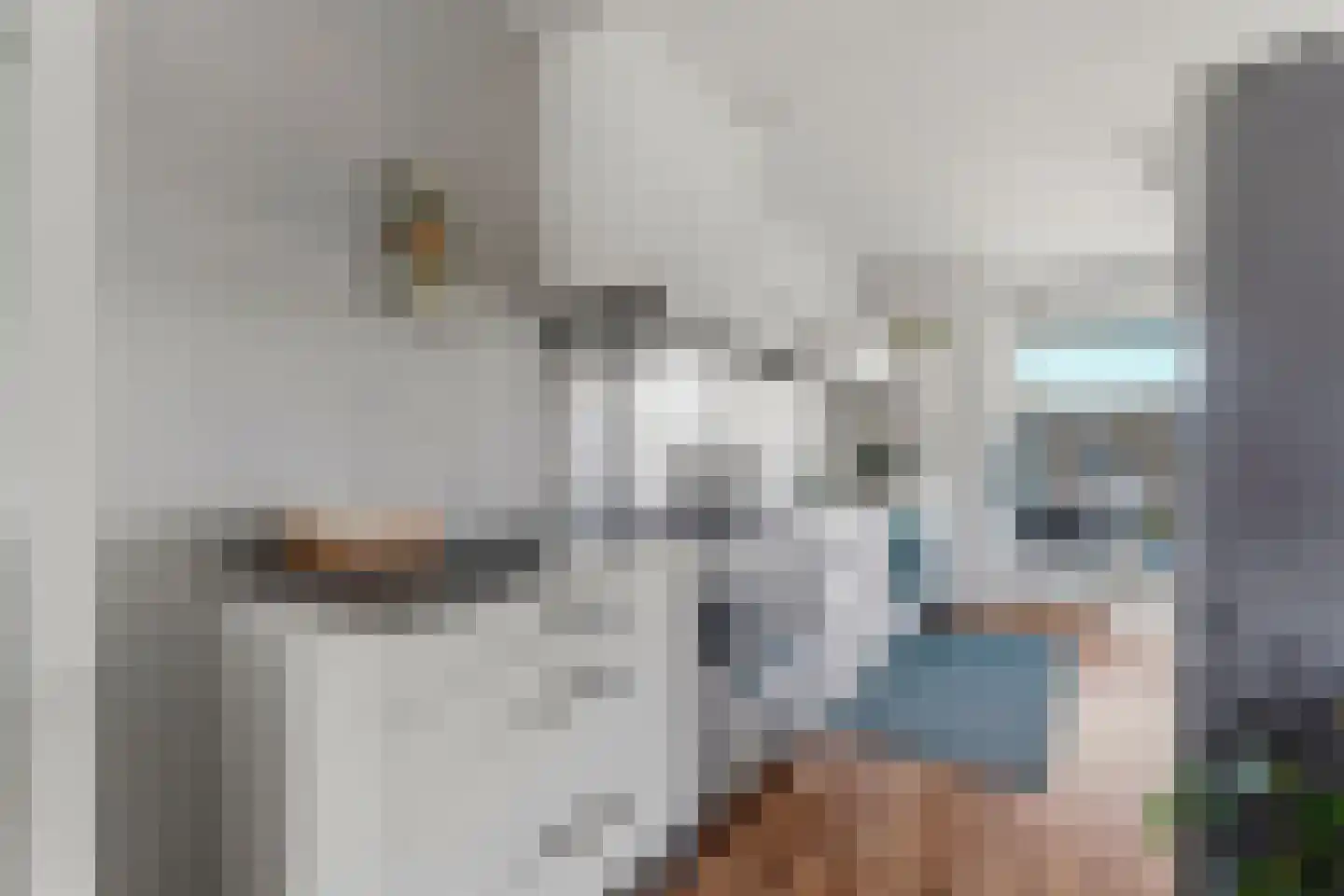 Emily Brontësingel 189 Arnhem thumbnail 5