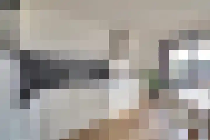 Emily Brontësingel 211 Arnhem thumbnail 17