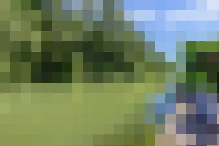 Emily Brontësingel 35 Arnhem thumbnail 38