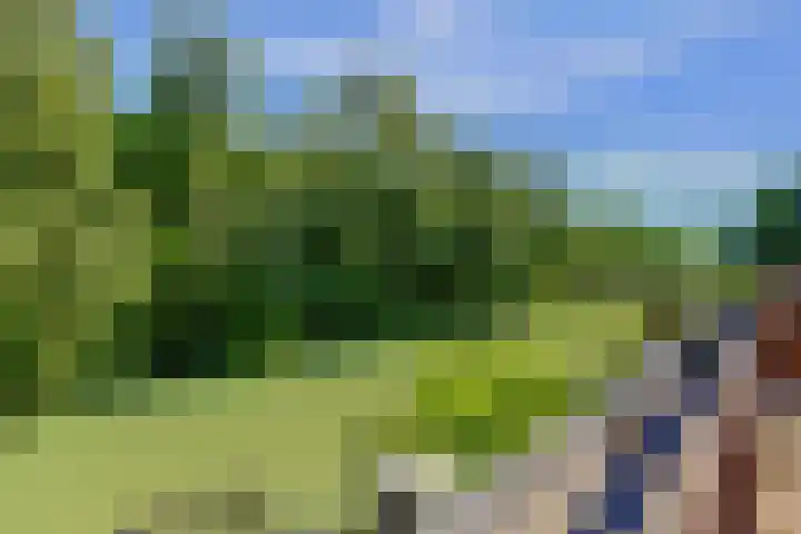 Emily Brontësingel 35 Arnhem thumbnail 4