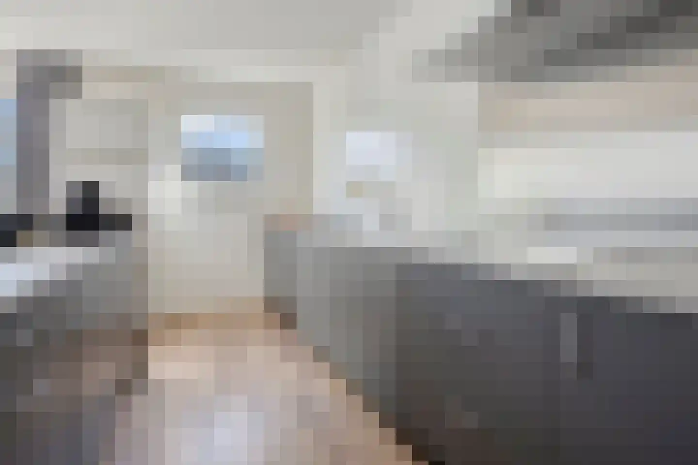 Emily Brontësingel 89 Arnhem thumbnail 11