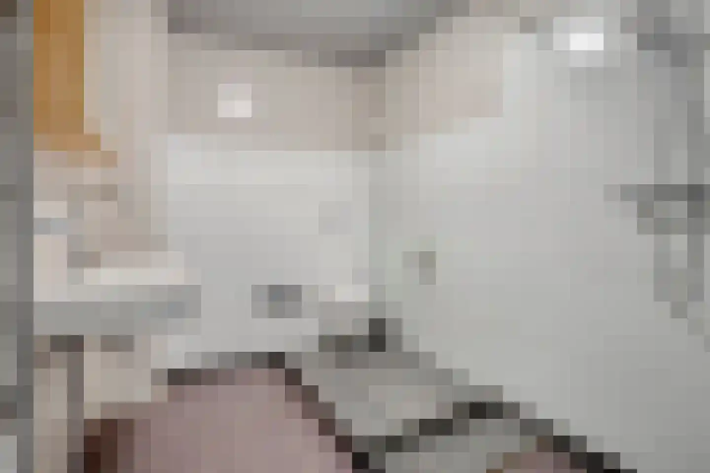 Emily Brontësingel 89 Arnhem thumbnail 6