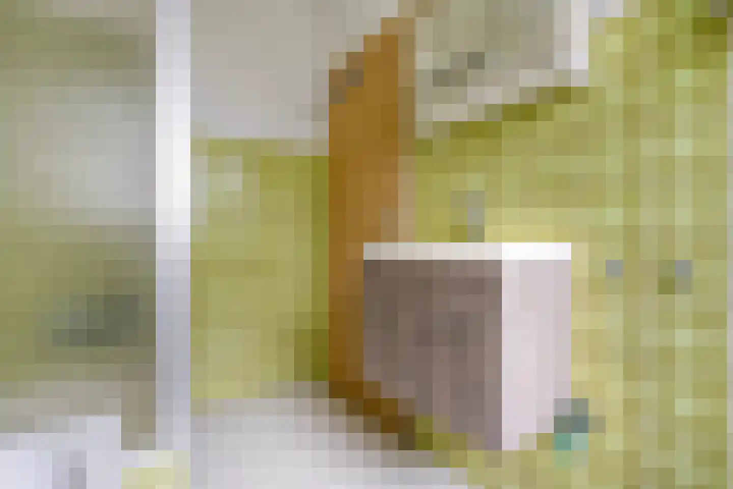 Emlichheimerstraße 1 Wilsum thumbnail 22