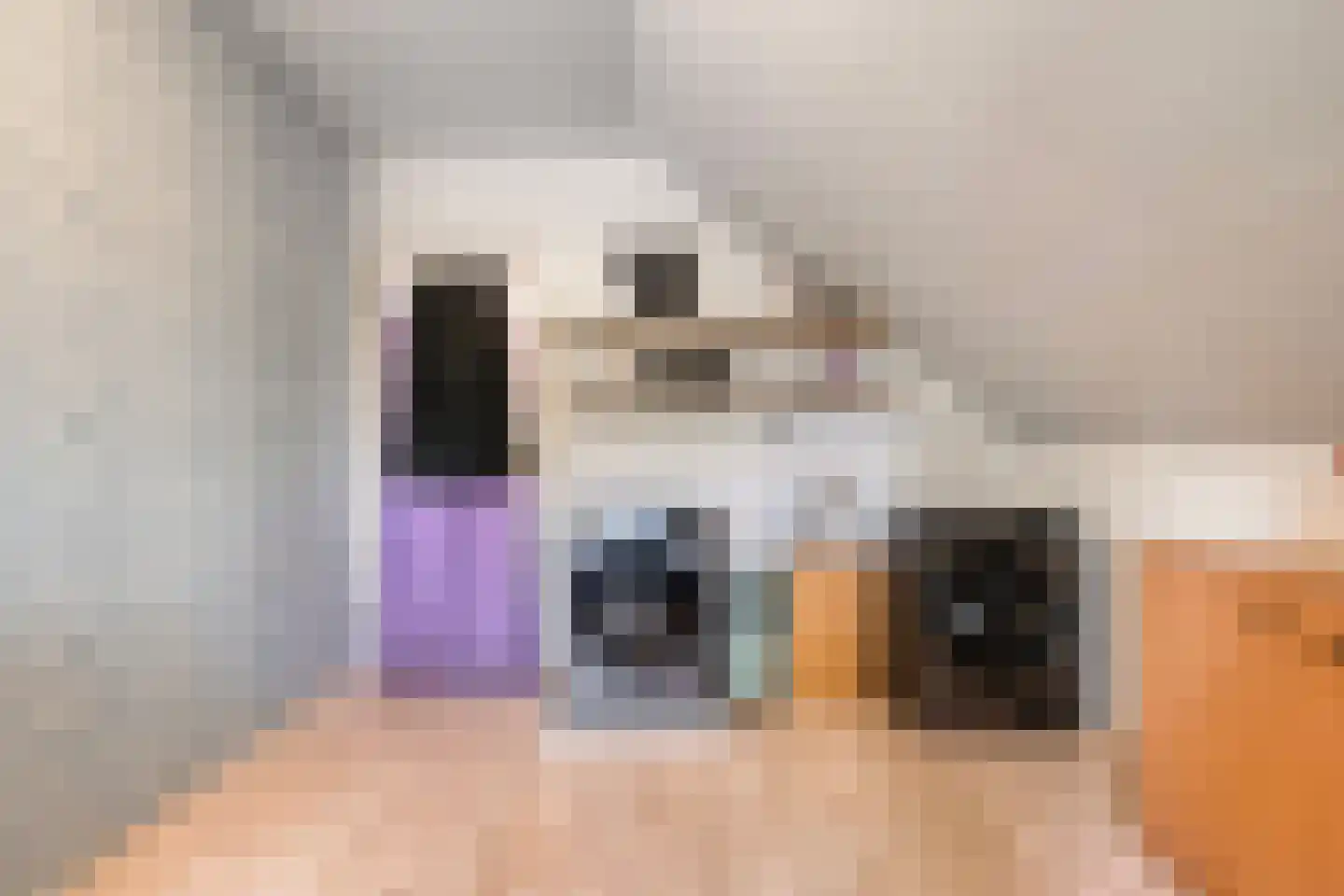 Emlichheimerstraße 1 Wilsum thumbnail 34