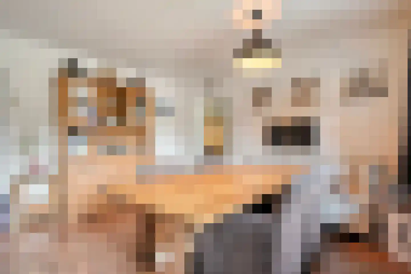 Emlichheimerstraße 1 Wilsum thumbnail 4