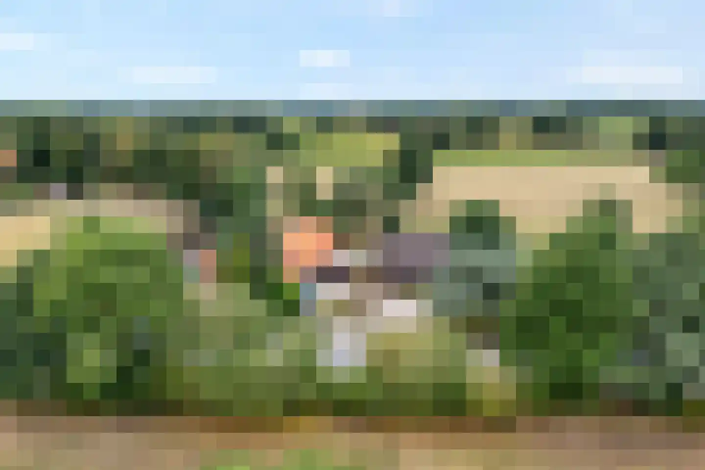 Emlichheimerstraße 1 Wilsum thumbnail 41