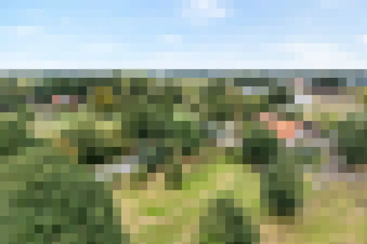 Emlichheimerstraße 1 Wilsum thumbnail 44