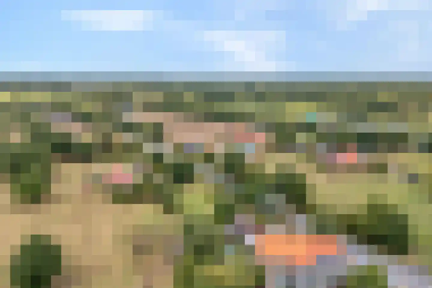 Emlichheimerstraße 1 Wilsum thumbnail 45