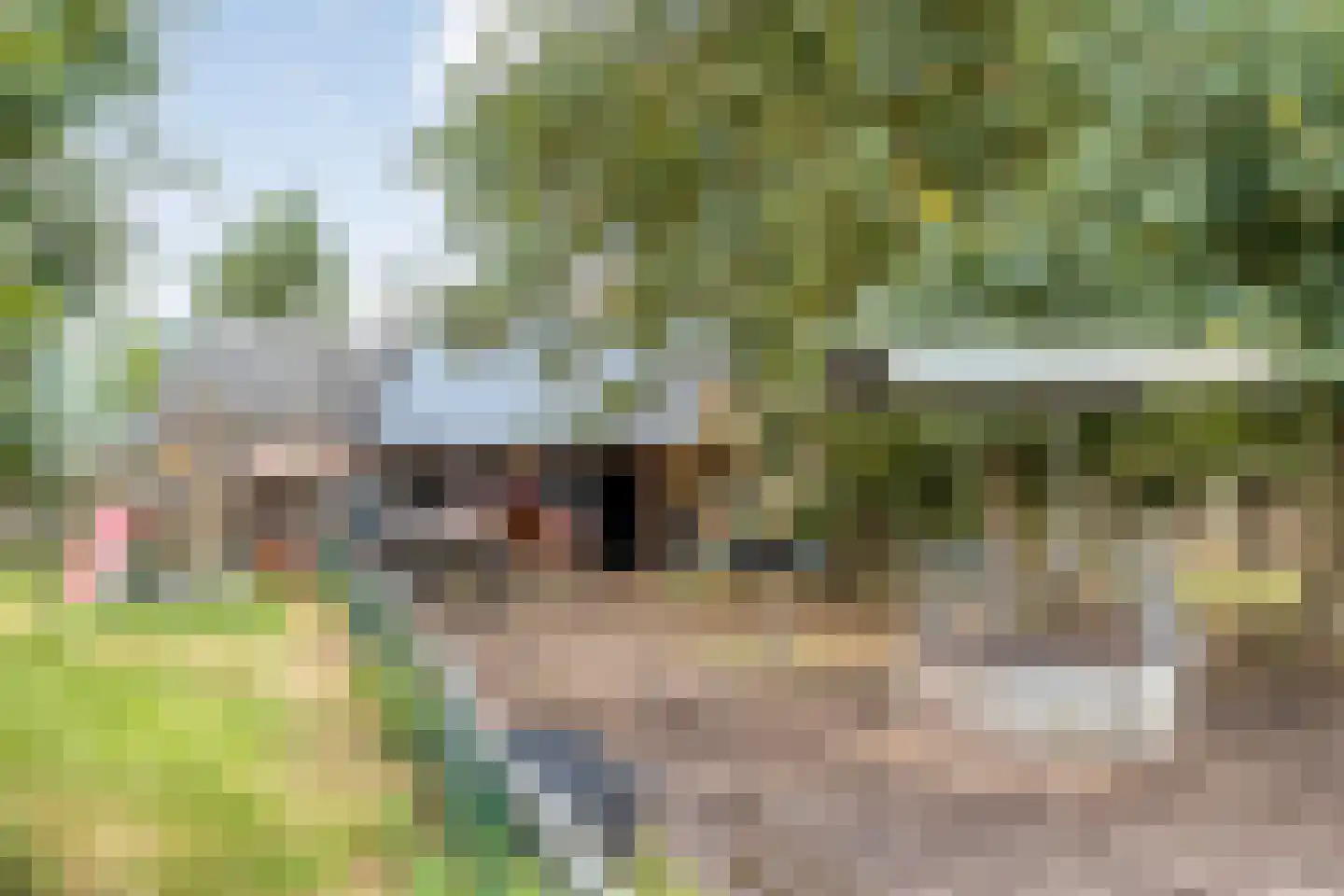 Emlichheimerstraße 1 Wilsum thumbnail 48