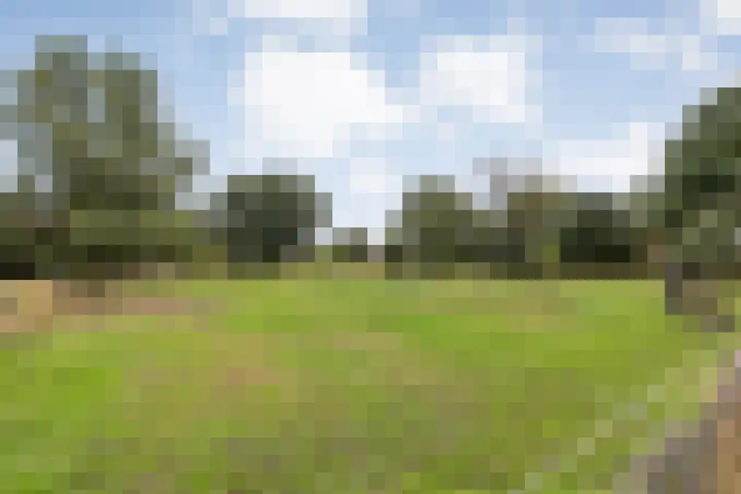 Emlichheimerstraße 1 Wilsum thumbnail 53