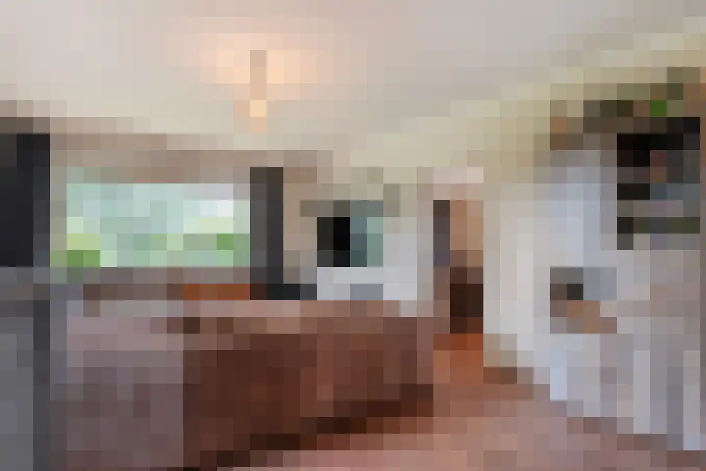 Emlichheimerstraße 1 Wilsum thumbnail 8