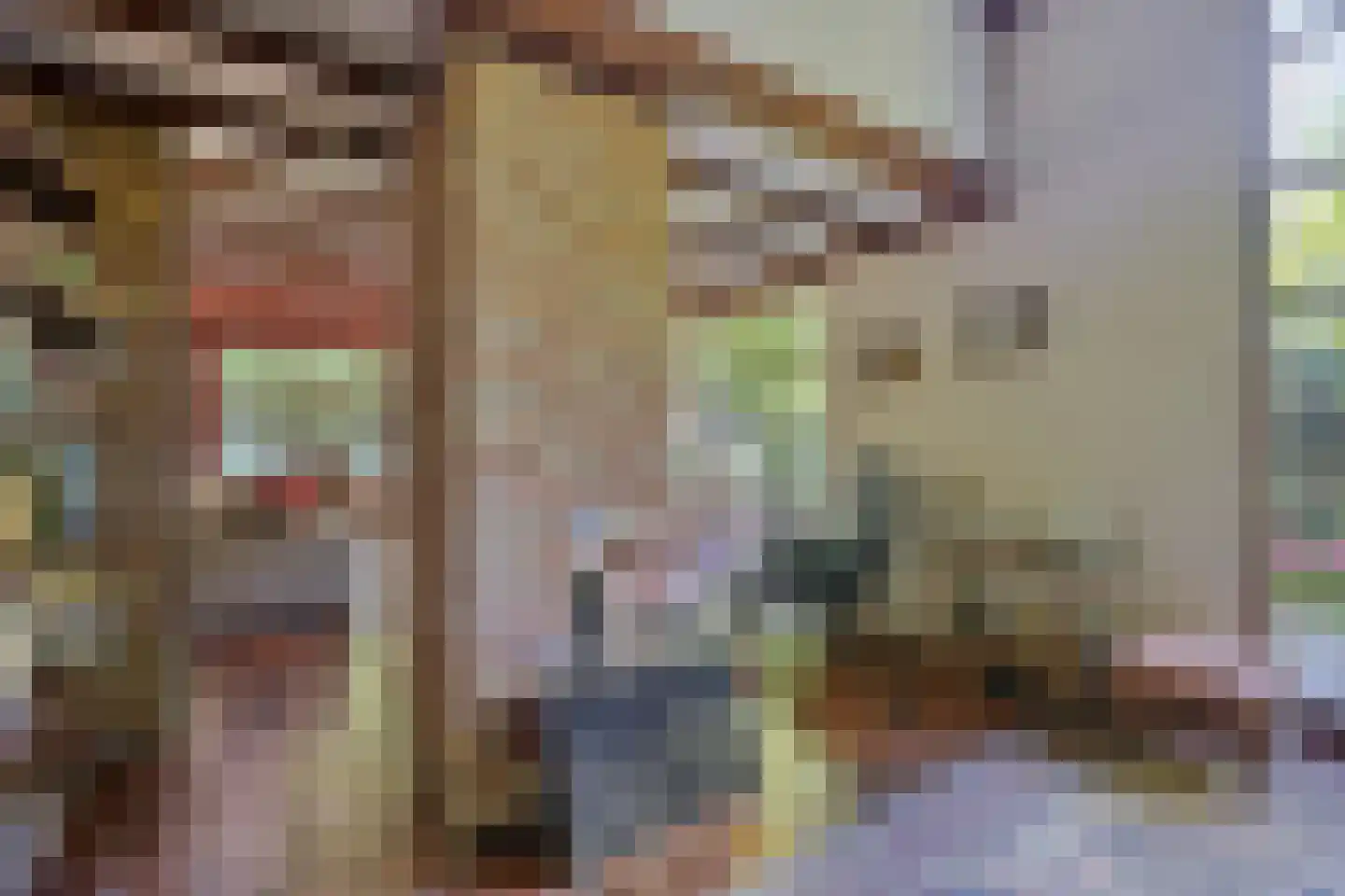 Emmabaan 12 a Koewacht thumbnail 11