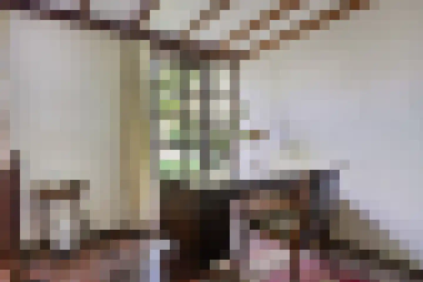 Emmabaan 12 a Koewacht thumbnail 12