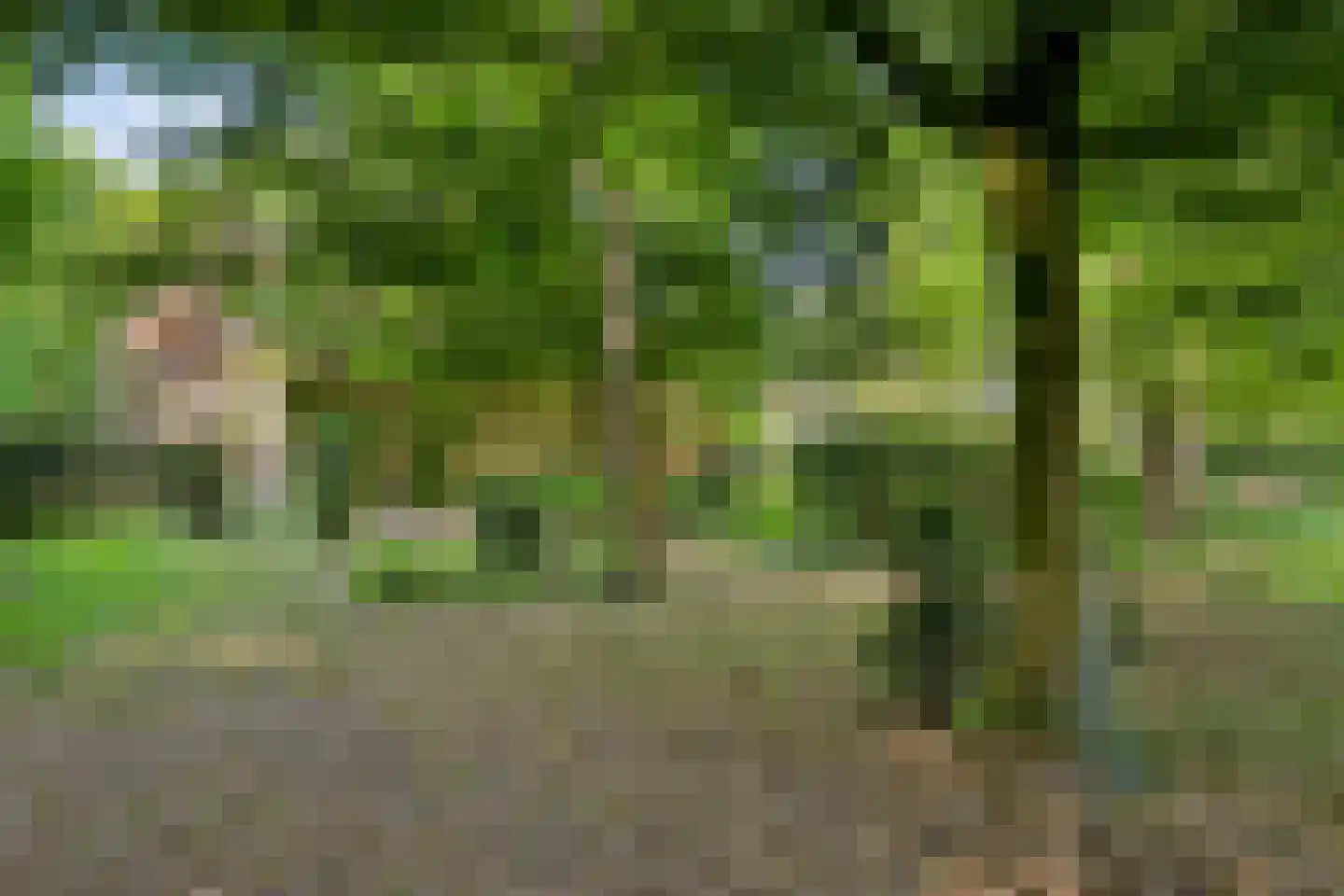 Emmabaan 12 a Koewacht thumbnail 24