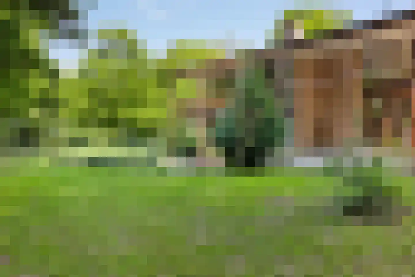 Emmabaan 12 a Koewacht thumbnail 25