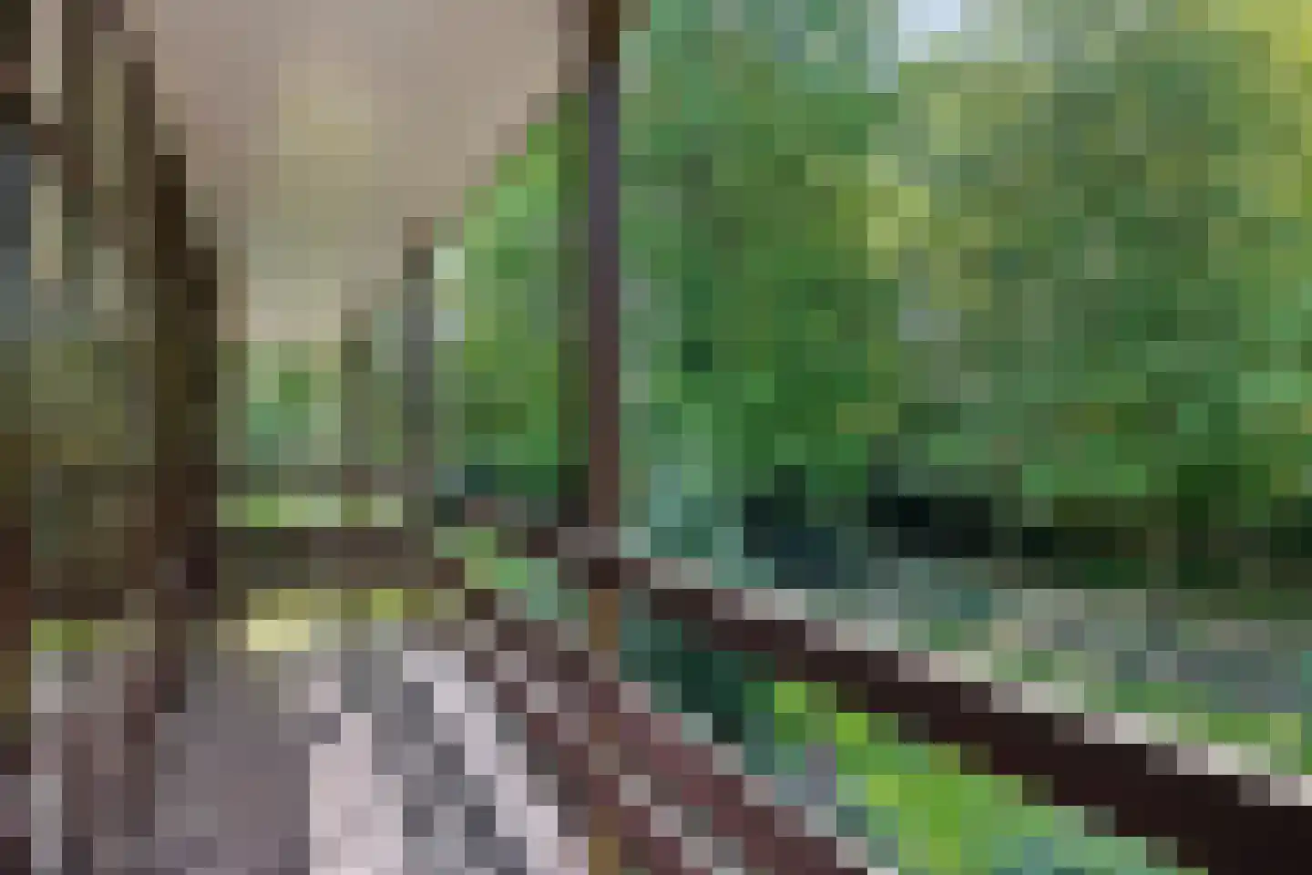 Emmabaan 12 a Koewacht thumbnail 34