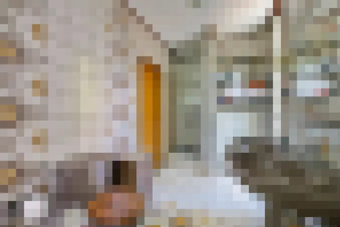Emmabaan 12 a Koewacht thumbnail 42
