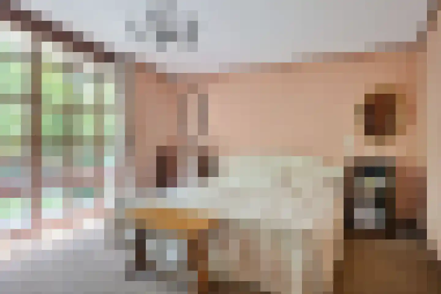 Emmabaan 12 a Koewacht thumbnail 43