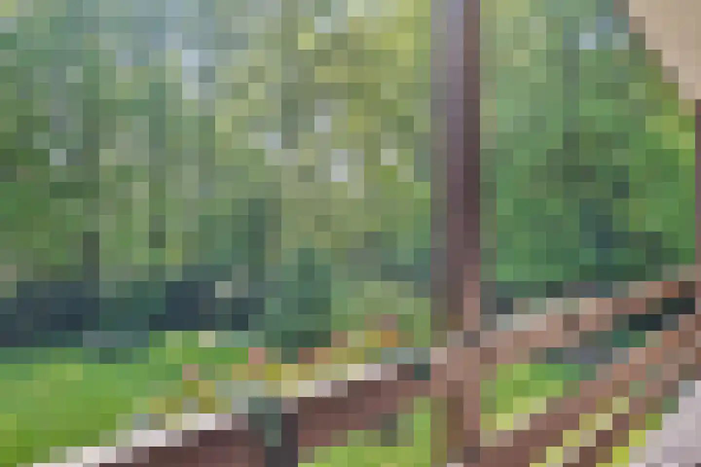 Emmabaan 12 a Koewacht thumbnail 45