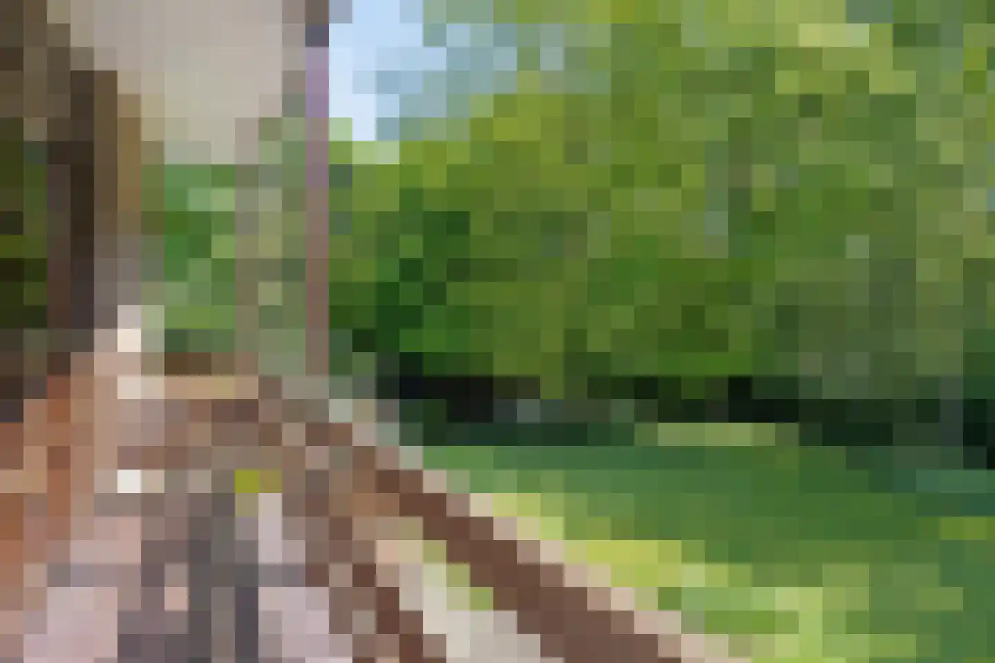Emmabaan 12 a Koewacht thumbnail 46